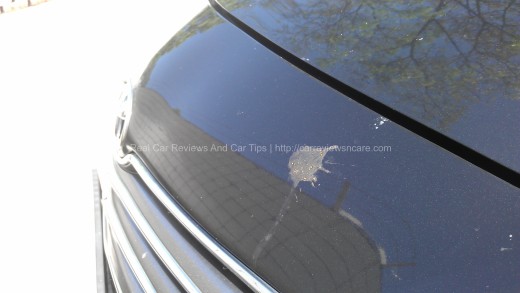 Bird Droppings on car paint