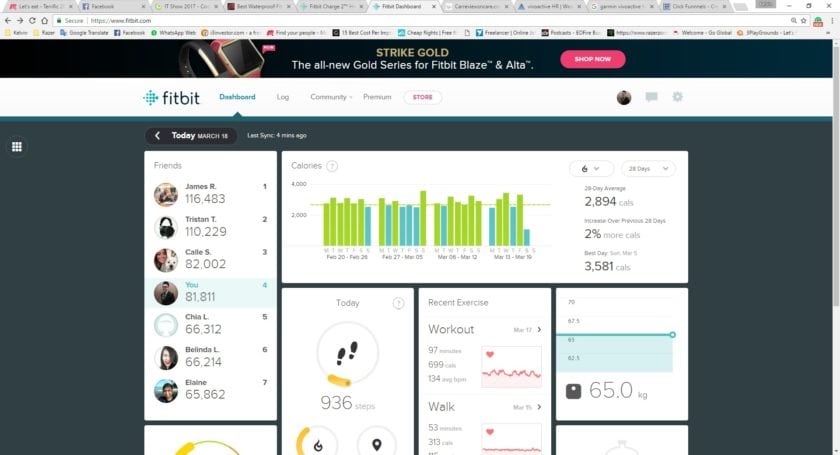 Fitbit Dashboard 