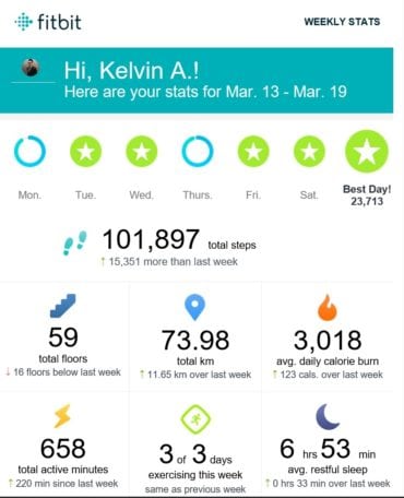 Fitbit Weekly Result