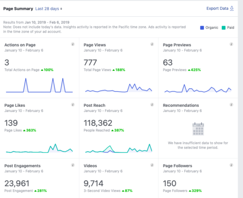 Carreviewsncare.com Facebook Insight Data