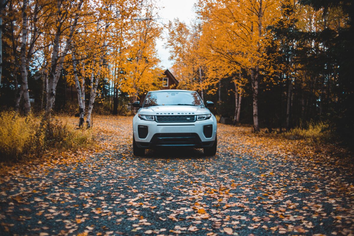 Range Rover with yellow leaves